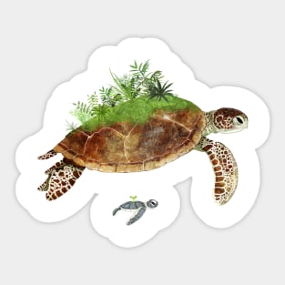 Sea Turtles Sticker